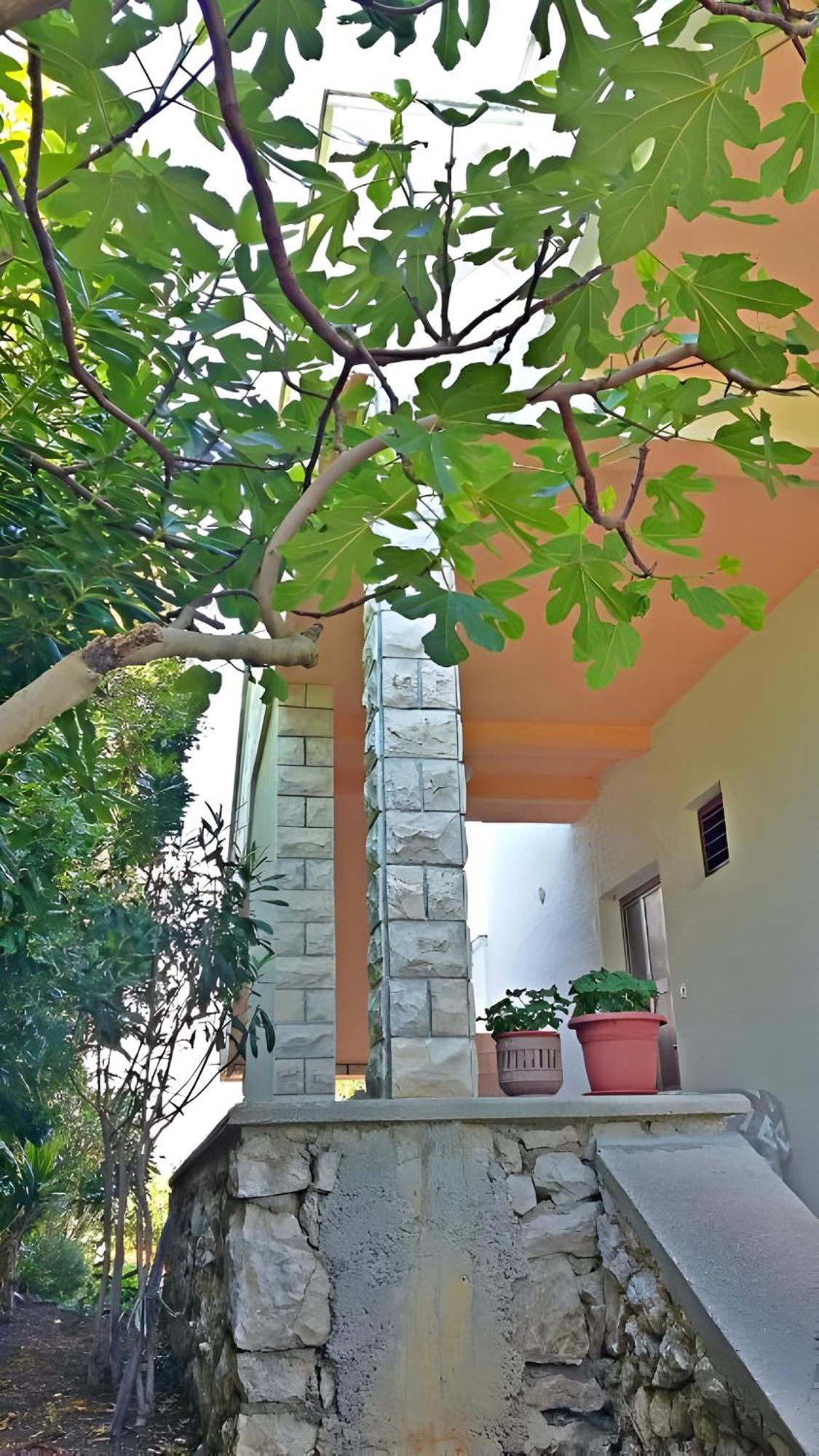 Cozy Apartments Danica Novalja - Ground Floor Luaran gambar
